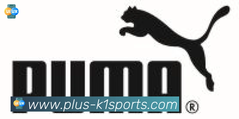 K1体育入口合作伙伴