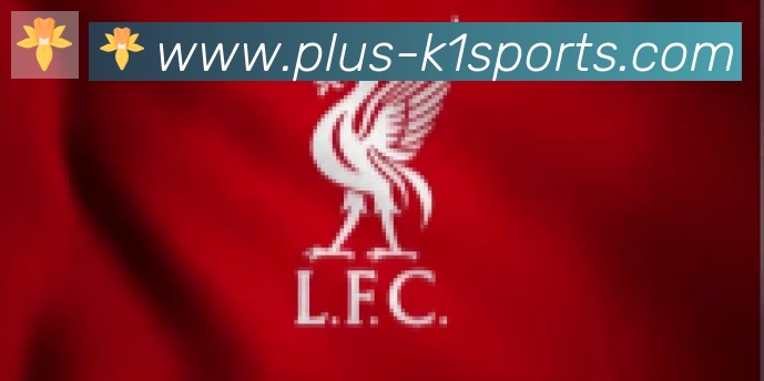 K1体育入口合作伙伴