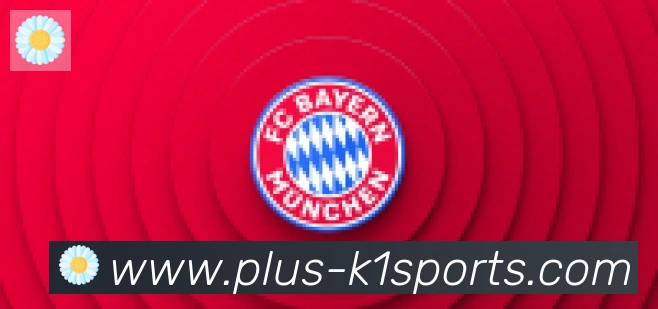 K1体育入口合作伙伴